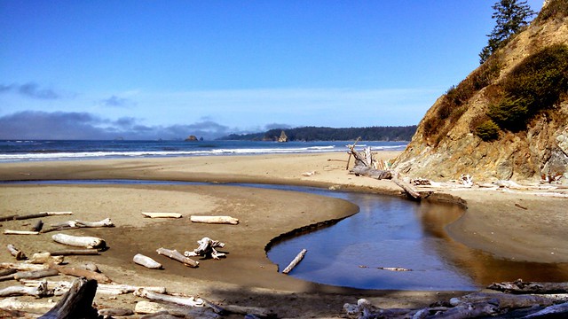 Mosquito Creek cuts through sand beach to reach the Pacific Ocean at Olympic National Park