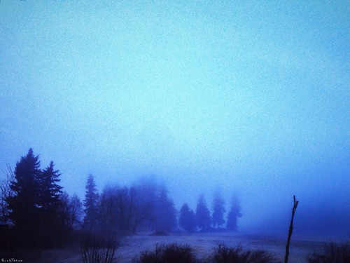 morning blue nature weather fog washington rich pnw lynden iphone tatum blogrodent richtatum iphoneography