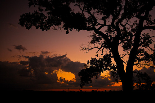 sunset summer sky usa tree nature silhouette wisconsin clouds rural america landscape photography evening photo midwest hole image dusk country picture august american northamerica porter canonef1740mmf4lusm cloudformation evansville 2011 canoneos5d rockcounty lorenzemlicka