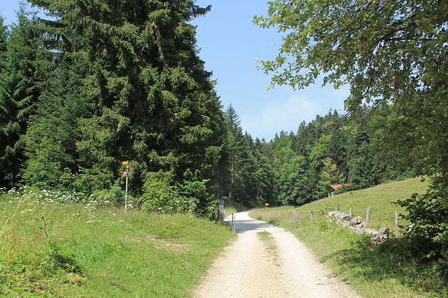 Chemin de la Barillette