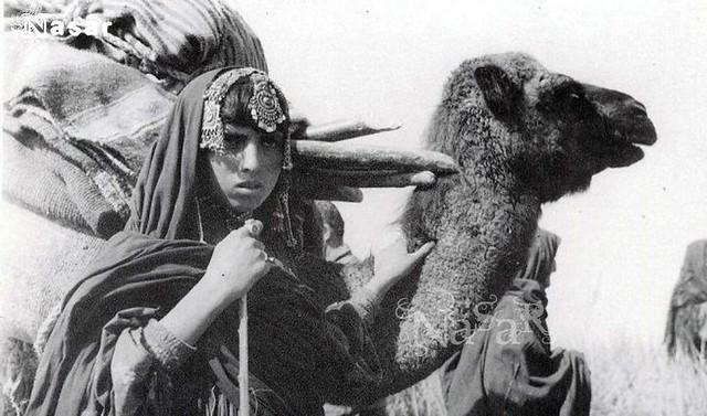 Afghan Kochi Nomad