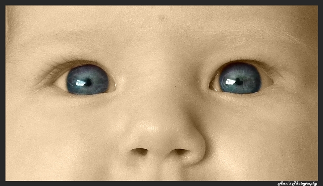Baby blue eyes!