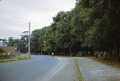 1966 apex park julian tce