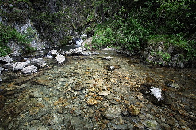 20120619-019F | Bergbach bei Madone de Fenestre. Seealpen, 19.06.2012