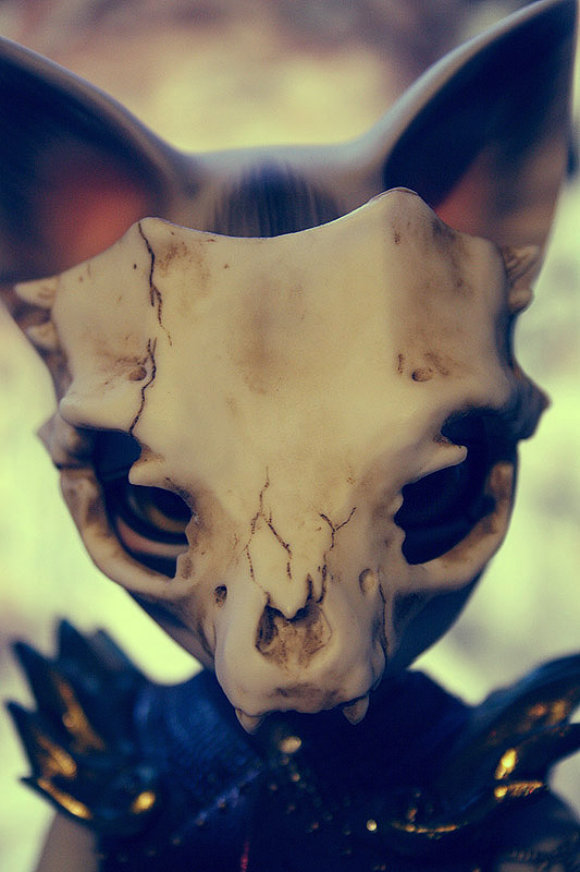 The Skull Knight