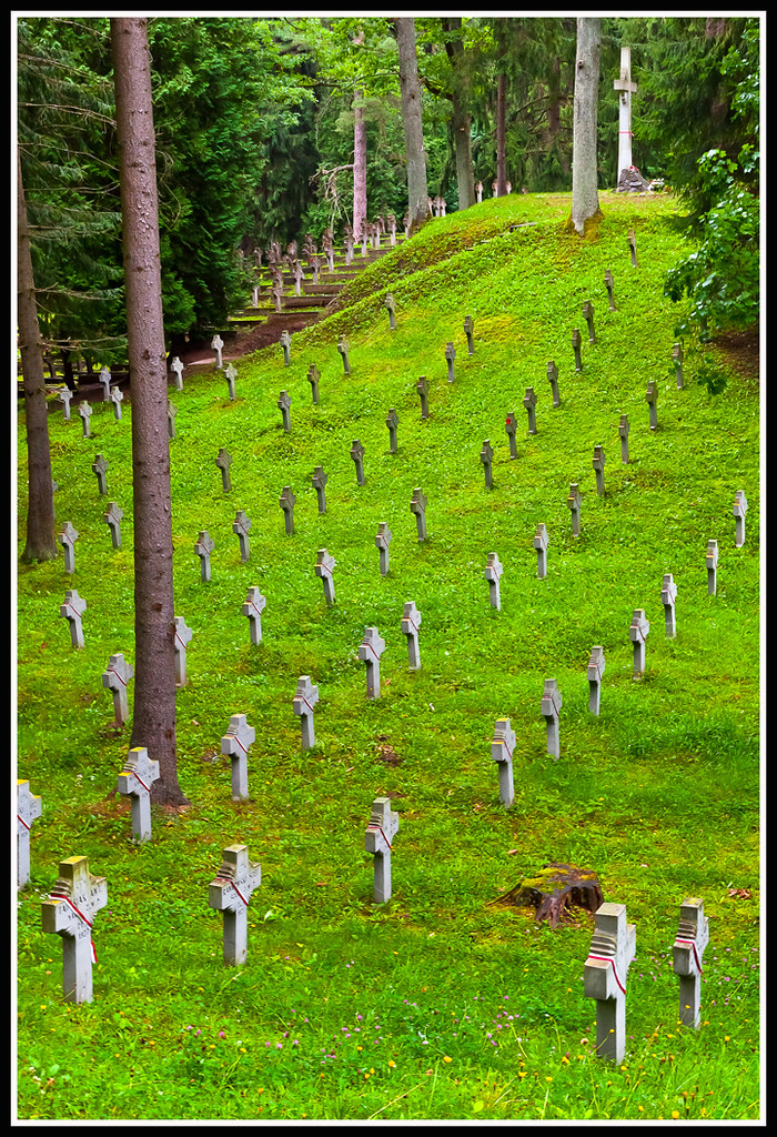 Lituania-Vilna-Cementerio de Antakalnis (2)