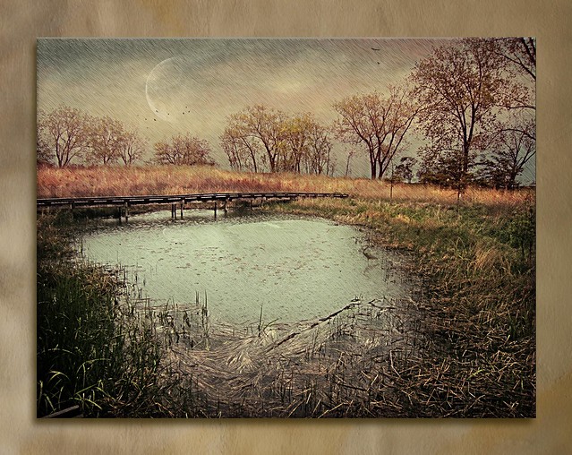 The Little Pond - A Spring Rain