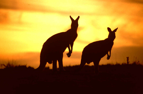 australia