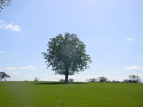 Round tree Staplehurst to Headcorn