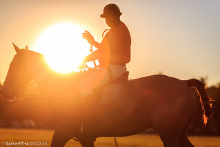 Polo at Sunset