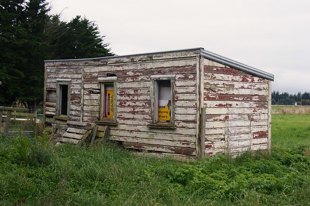 Taieri Plains: shed