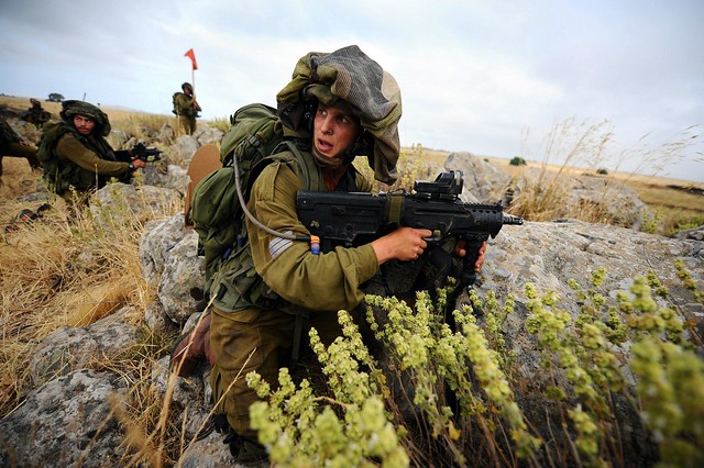 Israel Defence Force