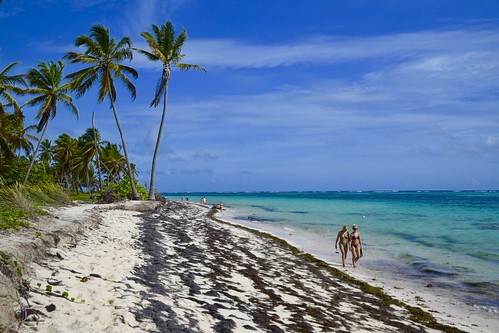 puntacana caribbean beach ocean tropical palmtree dominicanrepublic water