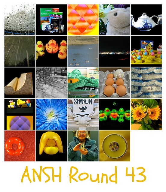 ANSH Round 43