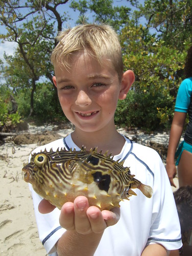Eric with a striped burrfish
