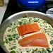 Wild sockeye swimming in a sea of spinach