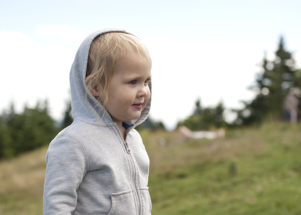 greylock6