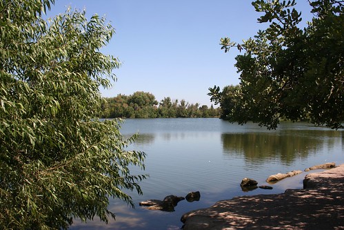 california park usa lake wildlife sunny clear fresno woodward