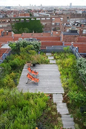 Urban Roof Terrace