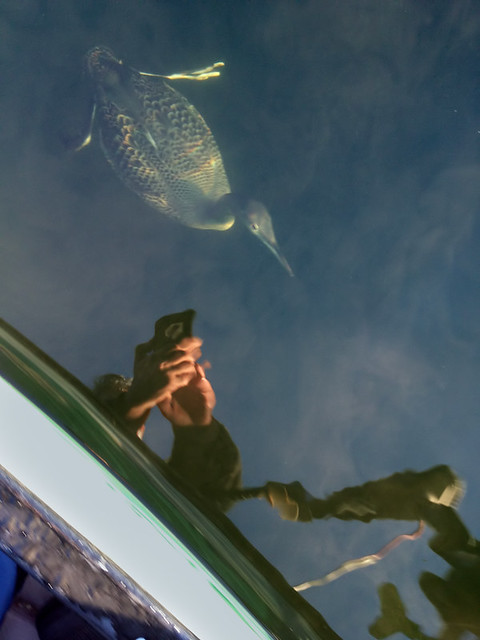 Underwater + Selfie