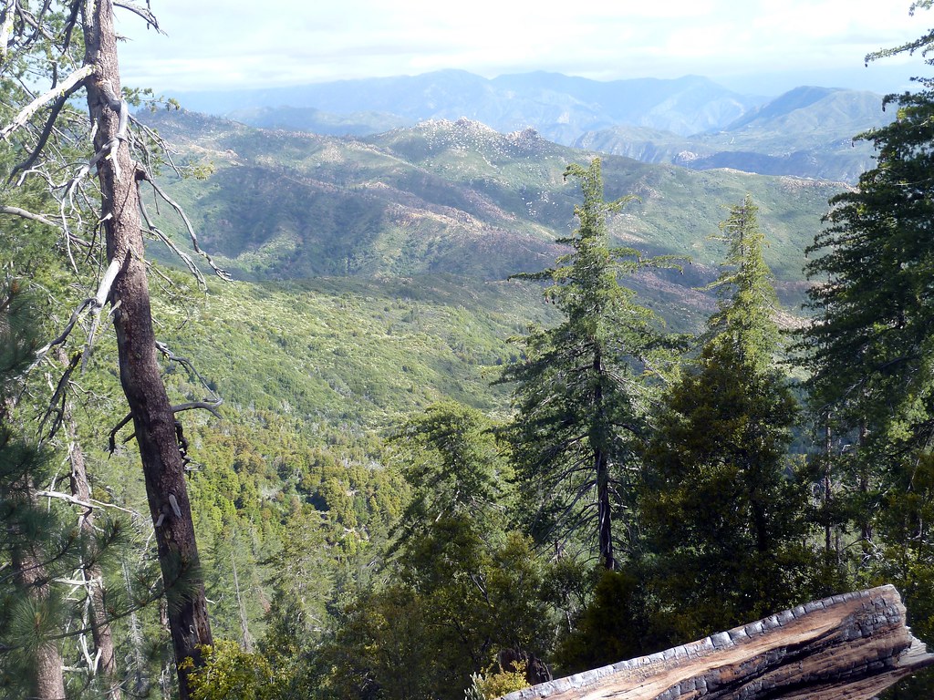 Arroyo Seco Trail