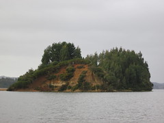 Isla en lago Budi