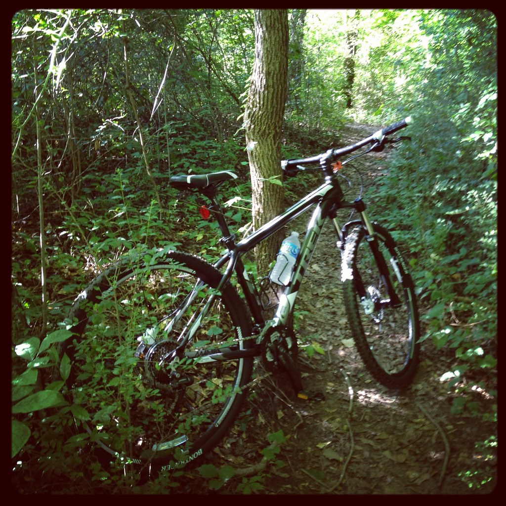 Roswell Riverside Path (alt), near Treat Trot Greater Atlanta