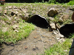 Beehive Hollow Rd creek