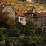 Schloss Glérolles ( Baujahr 11. Jahrhundert - château castle castell ) in Glérolles bei Saint - Saphorin in den Rebbergen des Lavaux am Genfersee - Lac Léman im Kanton Waadt - Vaud in der Westschweiz - Suisse romande - Romandie der Schweiz