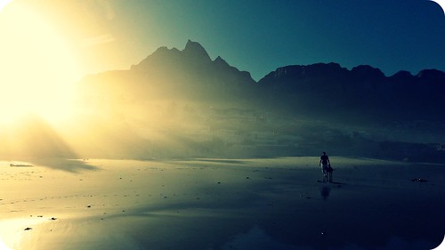 ocean light dog beach nature sunshine sunrise holidays walk capetown cliché hcs