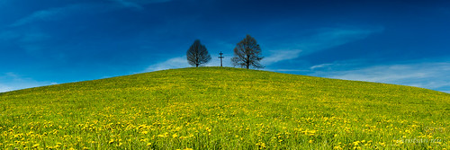 panorama landscape schweiz switzerland suisse sony fribourg alpha paysage campagne 77 printemps colline 1650 gibloux fribourgoise