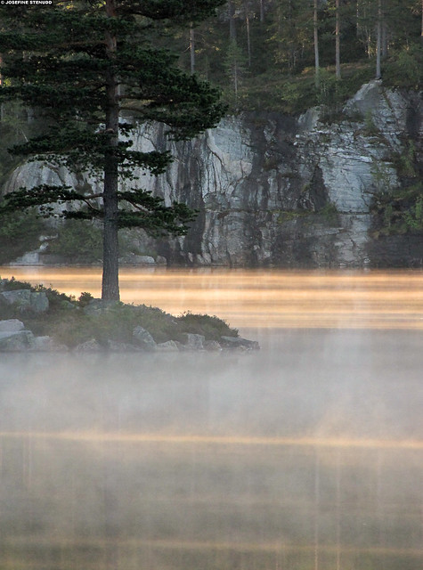 20110813_5k Morning mist on Lake Djupvatnet | Southern Norway