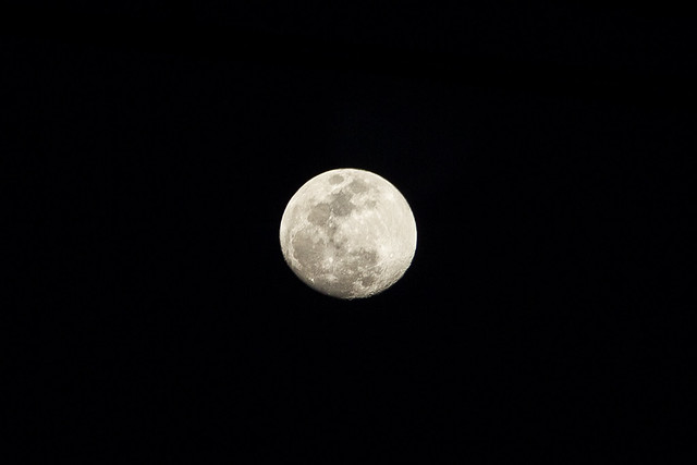 The Moon moon moon