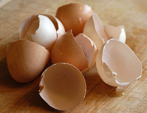 eggshells