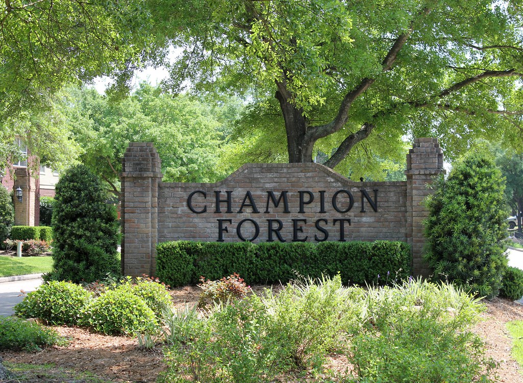 Champion Forest