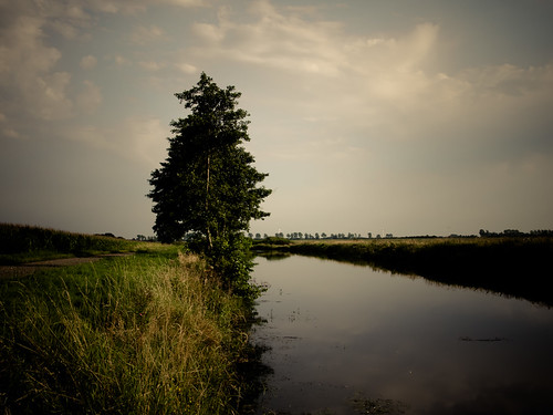 _8190213.jpg by Carsten457, OLYMPUS DIGITAL CAMERA