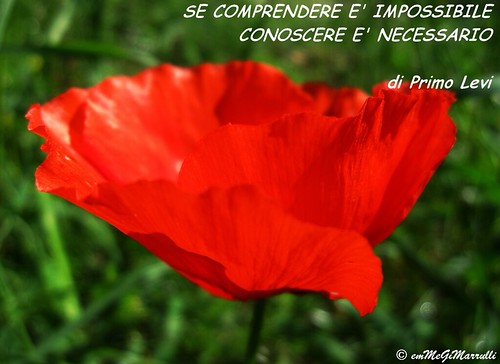 "E' LA FESTA DI TUTTI" .... BUON 25 APRILE by Maria Grazia Marrulli