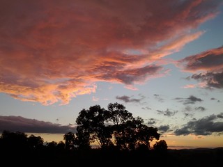 After the thunderstorm, Cardinia