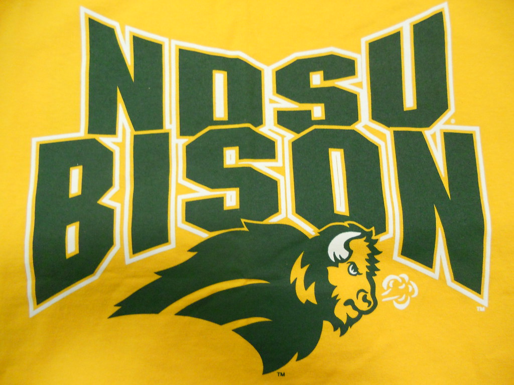 NDSU Bison Shirt - c. 1990s by NDSU University Archives. 