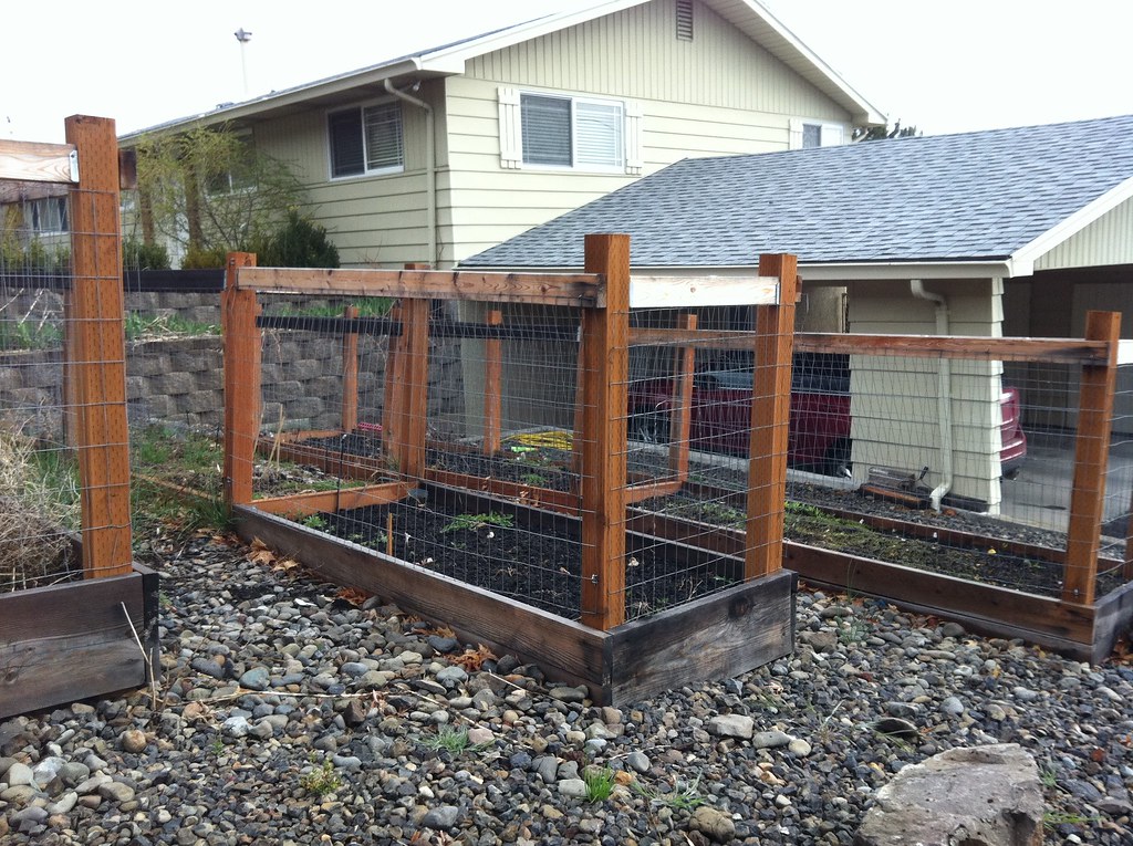 Raised Garden Bed With Deer Fencing In Many Areas Of Centr Flickr