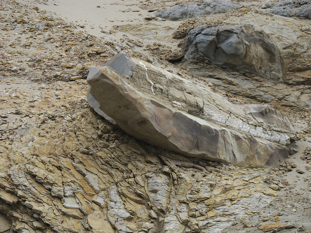 Fossil Bone at Drakes Beach - 3