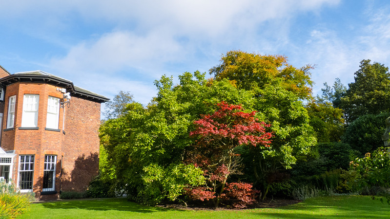 Autumnal trees, Bantock Park