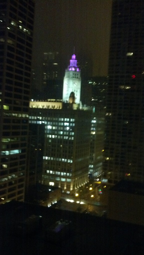 Wrigley  Building from my hotel