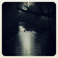 Kayaking in HH #welovehh #igershamburg