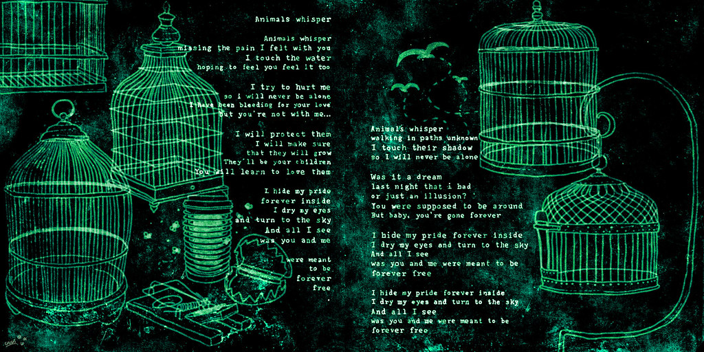 Caged Birthmark Lyrics 3 Birthmark Is A Fantastic Band Fro Flickr