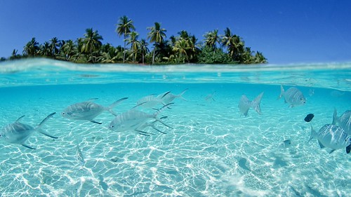 Fakarava