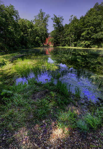 Alley Spring by Nikon66