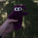 Purple Stitch Project