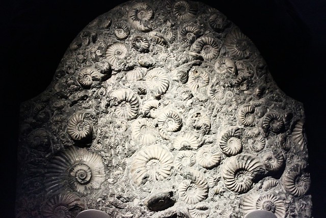 Ammonite Memorial