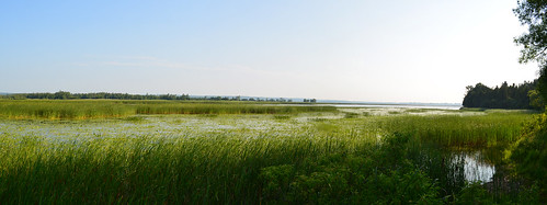 brighton wetlands marsh presquileprovincialpark ontarioparks